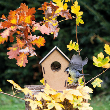 Пташиний будиночок ECO HOME дерев'яний - 56-0601029- Фото №3