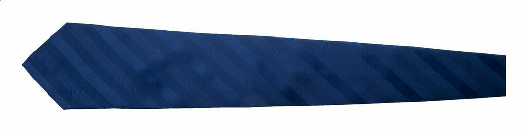 Краватка Stripes синій - AP1233-06- Фото №2